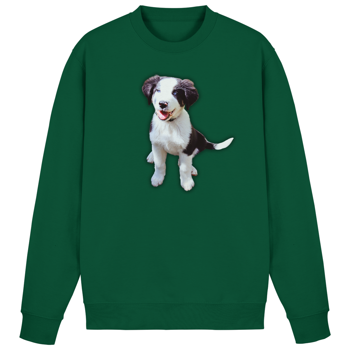 Basic Sweatshirt - SÜßE ROSIE - Basic Sweatshirt