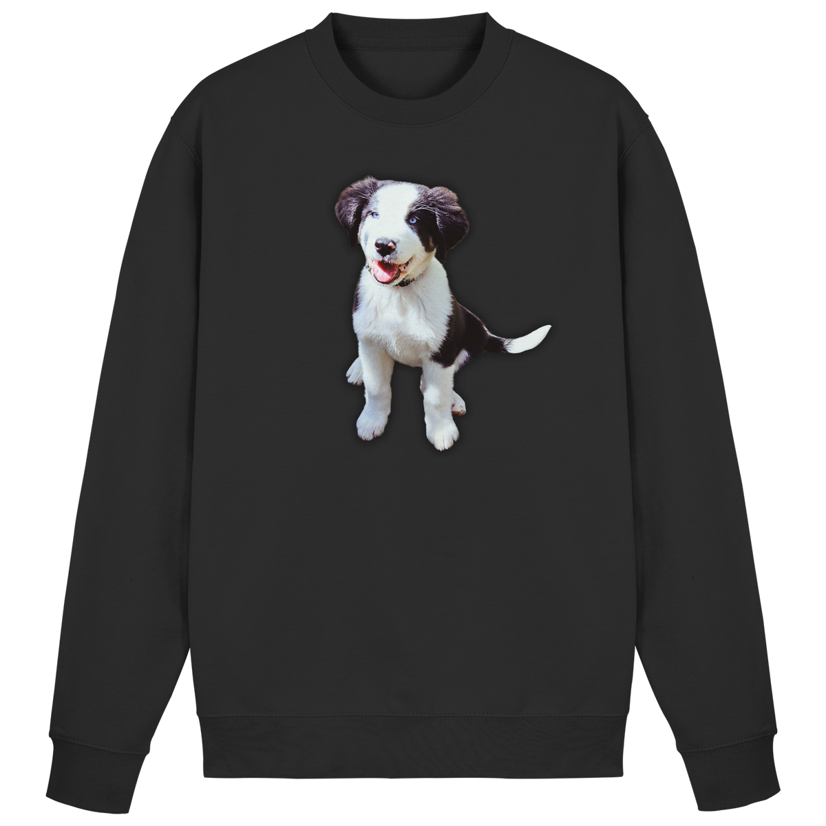 Basic Sweatshirt - SÜßE ROSIE - Basic Sweatshirt