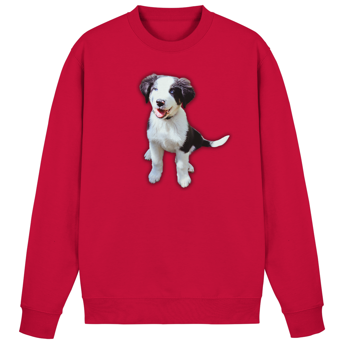 Basic Sweatshirt - SÜßE ROSIE - Basic Sweatshirt