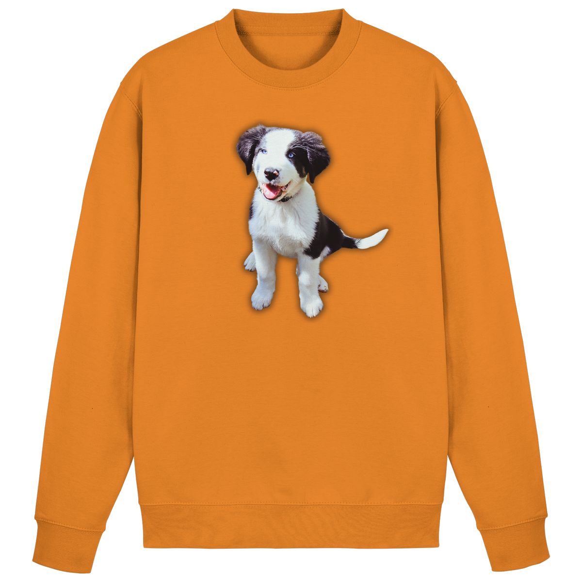 Basic Sweatshirt - SÜßE ROSIE - Basic Sweatshirt