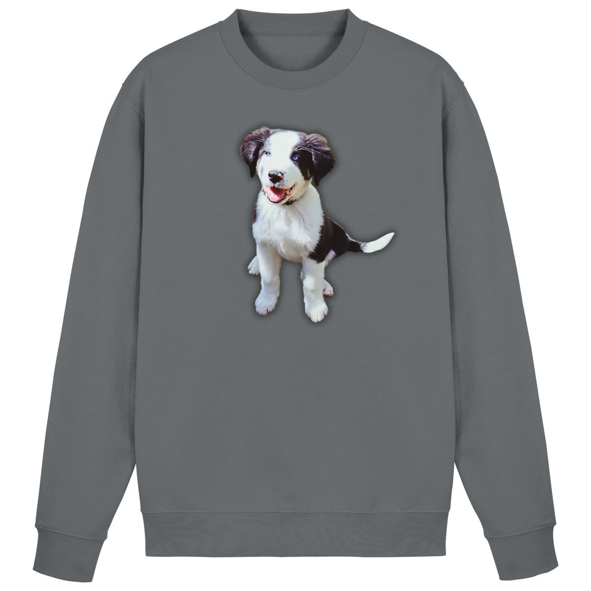 Basic Sweatshirt - SÜßE ROSIE - Basic Sweatshirt